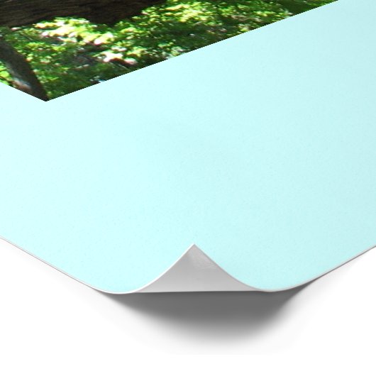 Sparen het Poster van Bomen (Hoek)