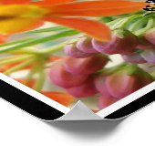 Sparen het Poster van de Monarch (Hoek)