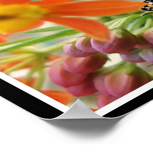 Sparen het Poster van de Monarch (Hoek)