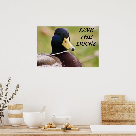 Sparen het Poster van Ducks (Keuken)