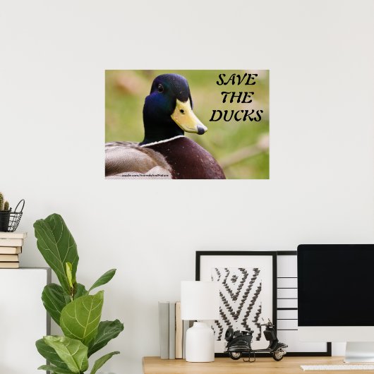 Sparen het Poster van Ducks (Thuiskantoor)