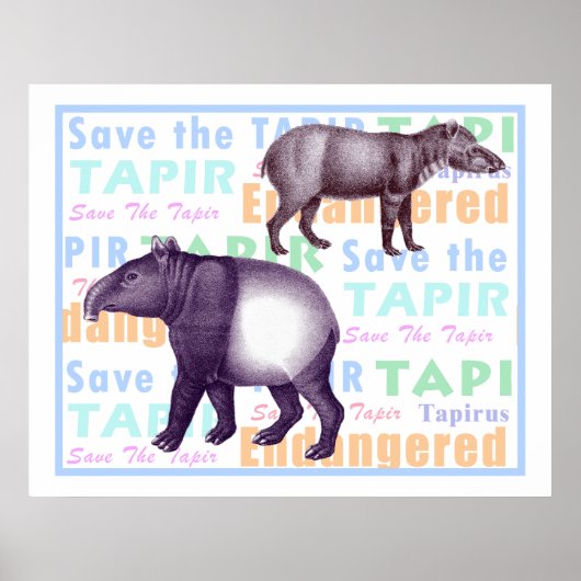 Sparen het Poster van Tapir - Amerikaanse & Aziati (Voorkant)