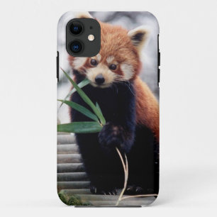 Sparen het Rood Panda iPhone 5/5S Hoesje
