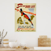  sparen inheemse vogelstand poster (Keuken)