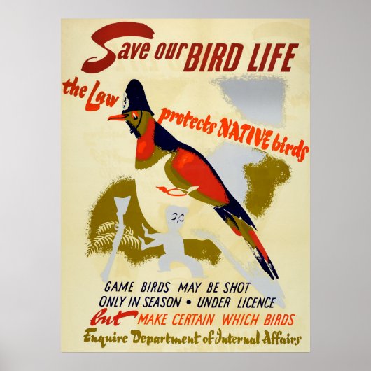  sparen inheemse vogelstand poster (Voorkant)