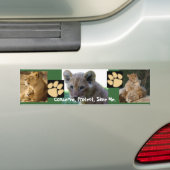 Sparen me - Lion Cub Bumpersticker (Op auto)