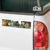 Sparen me - Lion Cub Bumpersticker (Op Truck)