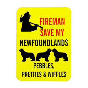 Sparen Mijn DRIE Brandveiligheid van Newfoundlands Magneet