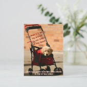 Sparen Off-Leash Dog Walking Senator Feinstein! Briefkaart (Staand voorkant)