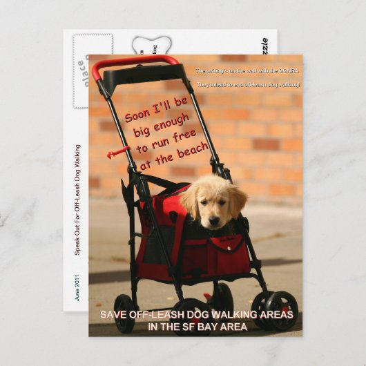 Sparen Off-Leash Dog Walking Senator Feinstein! Briefkaart (Voorkant / Achterkant)