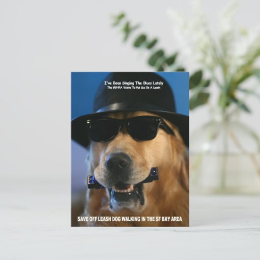 Sparen Off-Leash Dog Walking Senator Feinstein Briefkaart (Staand voorkant)