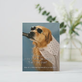 Sparen Off-Leash Dog Walking Senator Feinstein Briefkaart (Staand voorkant)