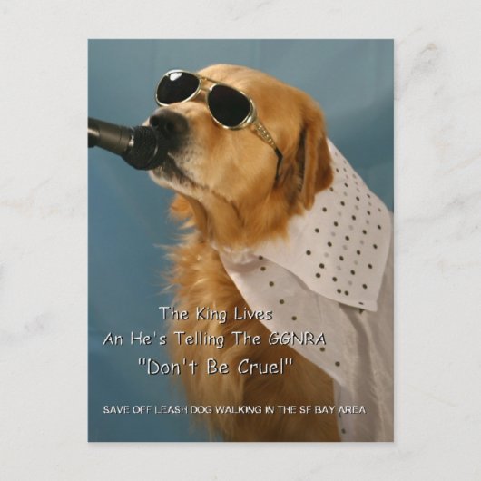 Sparen Off-Leash Dog Walking Senator Feinstein Briefkaart (Voorkant)