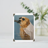 Sparen Off-Leash Dog Walking Senator Feinstein Briefkaart (Staand voorkant)