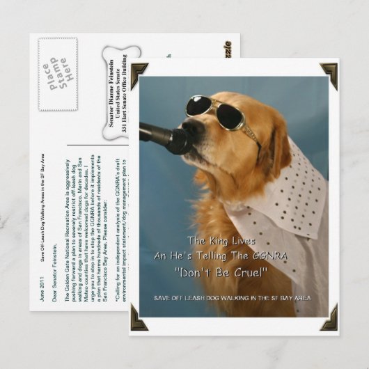 Sparen Off-Leash Dog Walking Senator Feinstein Briefkaart (Voorkant / Achterkant)