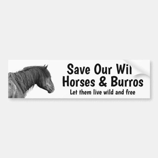 Sparen onze Bumpersticker van Verwilde Paarden (Voorkant)