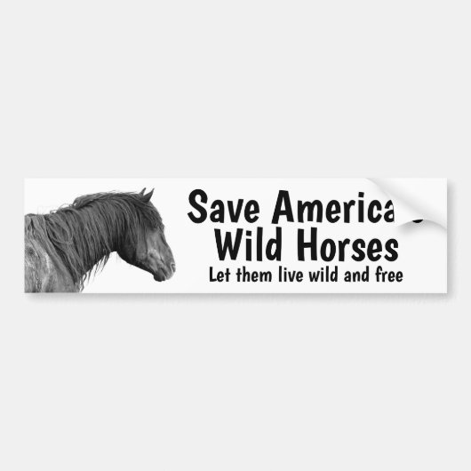 Sparen onze Bumpersticker van Verwilde Paarden (Voorkant)