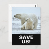 Sparen Polar Beren Klimaatactivisme Slogan op Zwar Briefkaart (Voorkant / Achterkant)