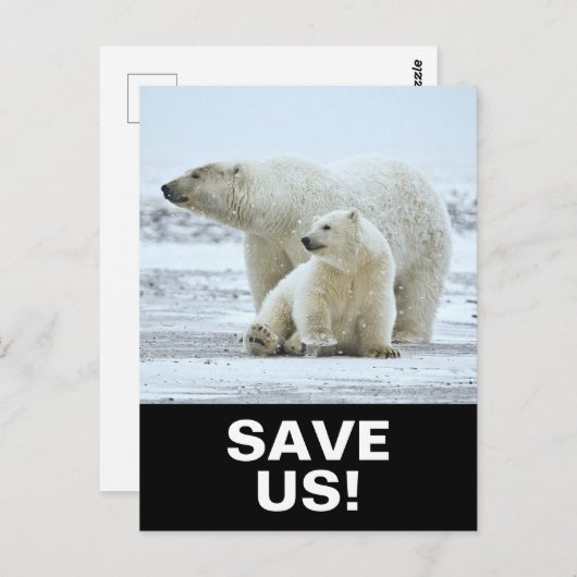 Sparen Polar Beren Klimaatactivisme Slogan op Zwar Briefkaart (Voorkant / Achterkant)