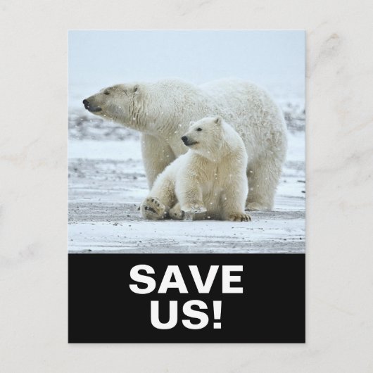 Sparen Polar Beren Klimaatactivisme Slogan op Zwar Briefkaart (Voorkant)
