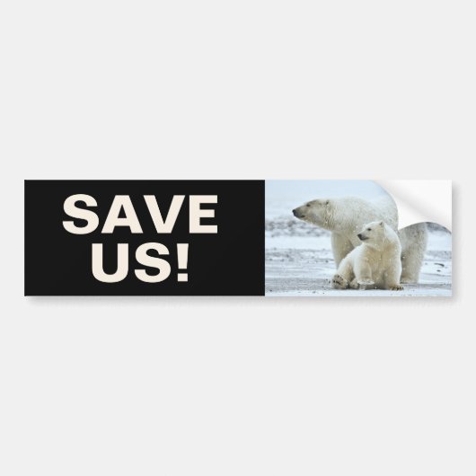 Sparen Polar Beren Klimaatactivisme Slogan op Zwar Bumpersticker (Voorkant)