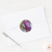 Sparkle and Shine Leotard Lover Ronde Sticker (Envelop)