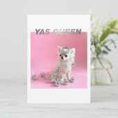 Sparkle De Kleine Chi | Foto voor hondenliefhebber Kaart (Staand voorkant)