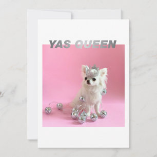 Sparkle De Kleine Chi Foto voor hondenliefhebber Kaart