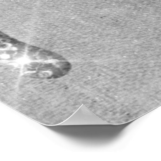 Sparkle Drip | Platinum Silver Metallic Ice Poster (Hoek)