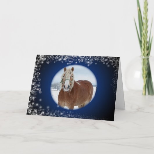 Sparkle Horse Holiday Card Feestdagen Kaart (Voorkant)