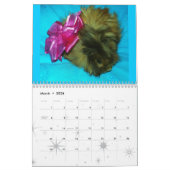 Sparkle Kalender (Mar 2026)