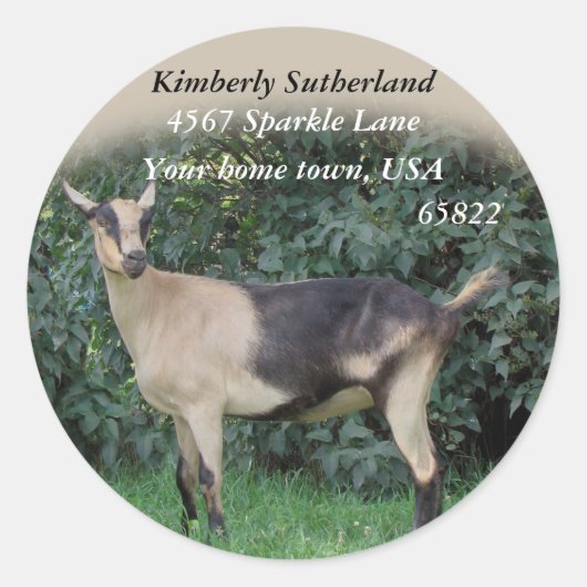 Sparkle Stickers-aanpassen Ronde Sticker (Voorkant)