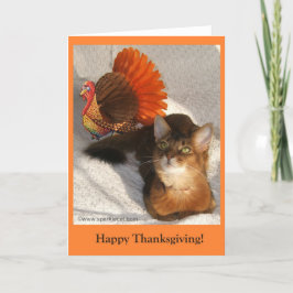 Sparkle Thanksgiving Kat Kaart