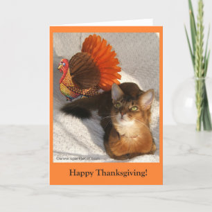 Sparkle Thanksgiving Kat Kaart