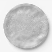 Sparkles Jewels Bling Crystals Chic Silver Papieren Bordje (Voorkant)
