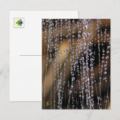Sparkling Dew Drop Bead Curtain, Magical Briefkaart (Voorkant / Achterkant)