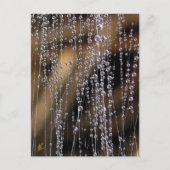 Sparkling Dew Drop Bead Curtain, Magical Briefkaart (Voorkant)