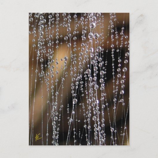 Sparkling Dew Drop Bead Curtain, Magical Briefkaart (Voorkant)