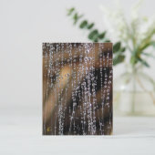 Sparkling Dew Drop Bead Curtain, Magical Briefkaart (Staand voorkant)