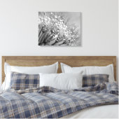 Sparkling Dew paardenbloem zilveren grijze achterg Canvas Afdruk (Insitu (Slaapkamer))
