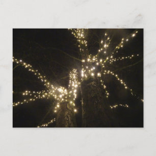 Sparkling Outdoor Tree Lights DIY Briefkaart