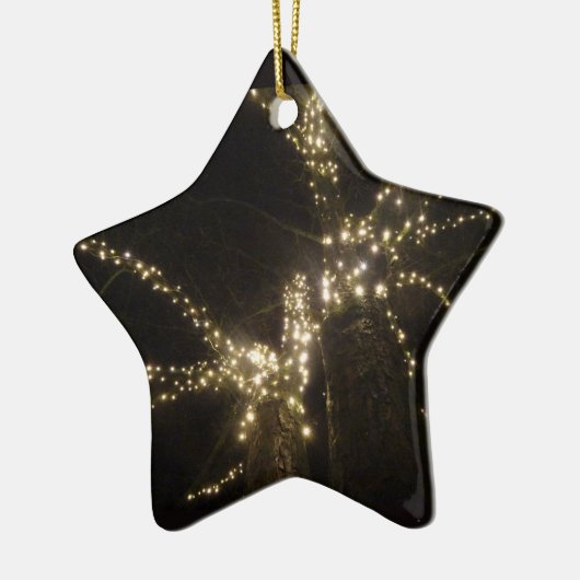 Sparkling Outdoor Tree Lights Star Ornament (Links)