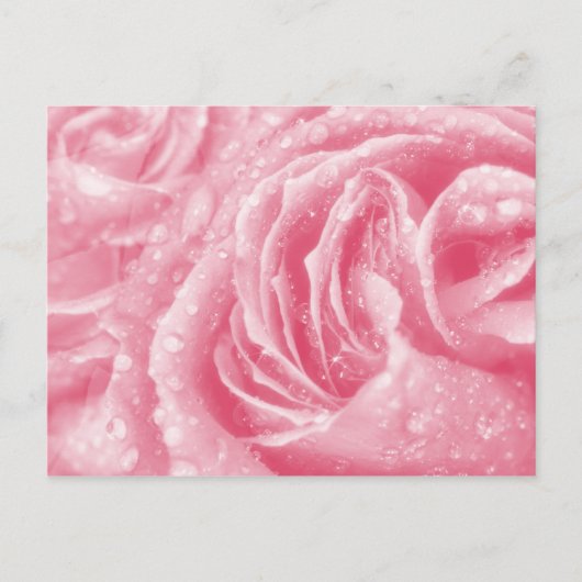 Sparkling Pink Rose Briefkaart (Voorkant)