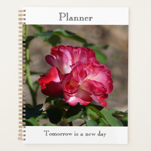 Sparkling Roze Planner (Voorkant)