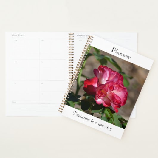 Sparkling Rozen Planner (Display)