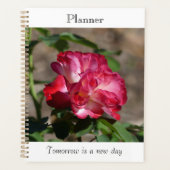 Sparkling Rozen Planner (Voorkant)