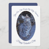 Sparkling Universe Kattenfoto Valentijnsdag Feestdagenkaart (Voorkant / Achterkant)