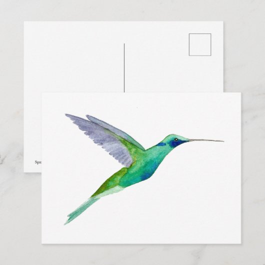 Sparkling Violetear Hummingbird Briefkaart (Voorkant / Achterkant)
