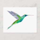 Sparkling Violetear Hummingbird Briefkaart (Voorkant)