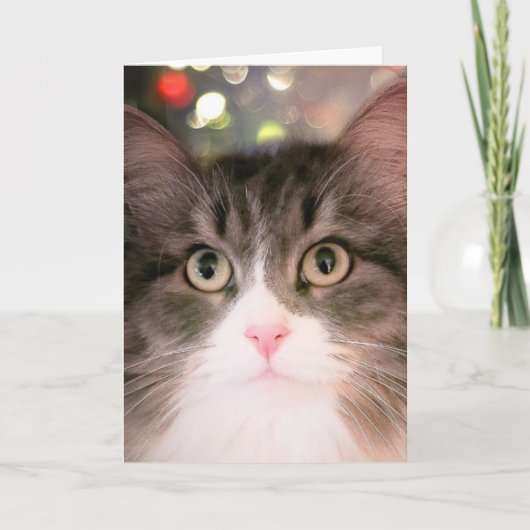 Sparkling Wishes for Christmas (Kerst Kaart) Feestdagen Kaart (Voorkant)